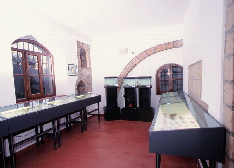 Old Museum in Sovana, Italy
