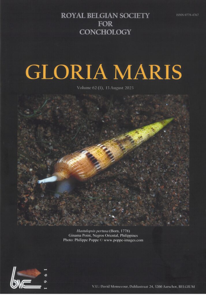 Gloria Maris N.62(1)a,2023